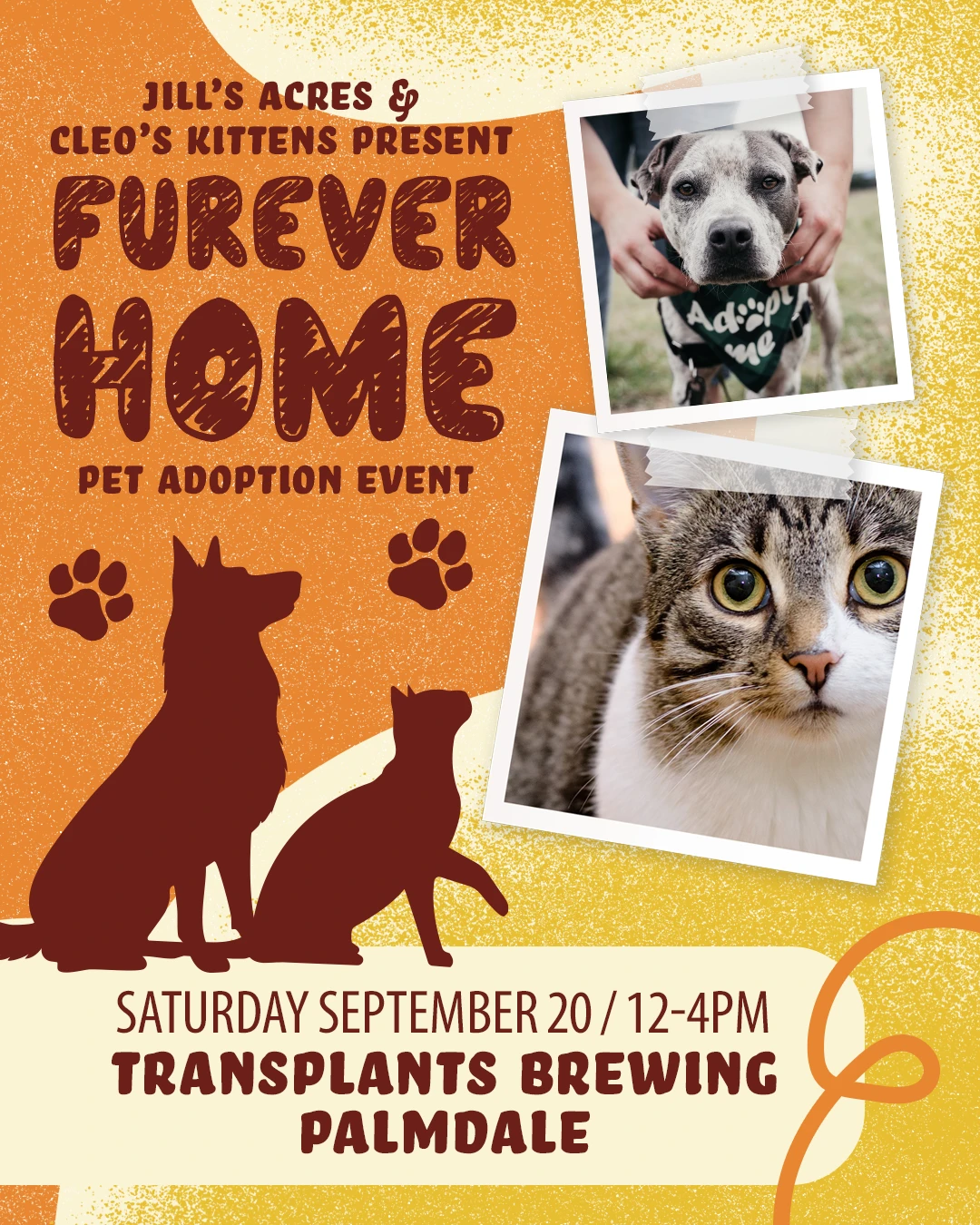 Event poster for other