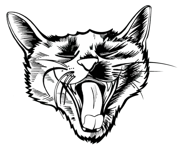 Patches drawing