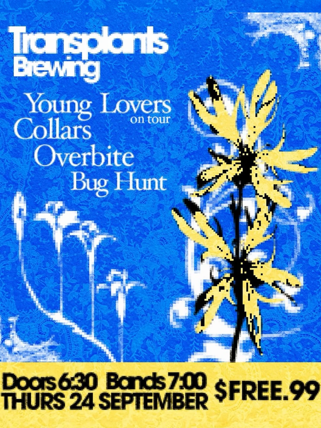Event poster for concert